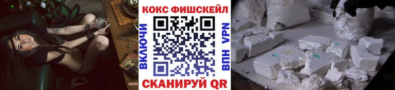 Купить закладки  Сальск  Cocaine Fish Scale 