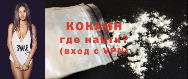 твердый Бородино