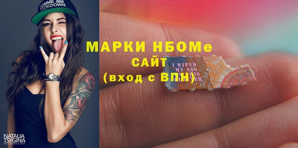 твердый Бородино