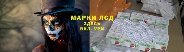 твердый Бородино