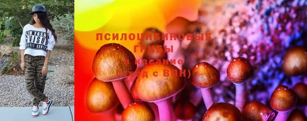 ешки Бугульма
