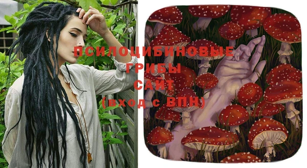 прущая мука Богородицк