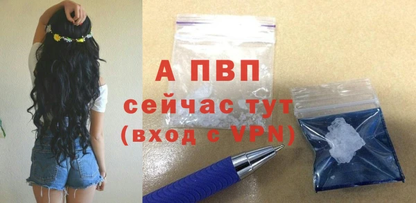 твердый Бородино