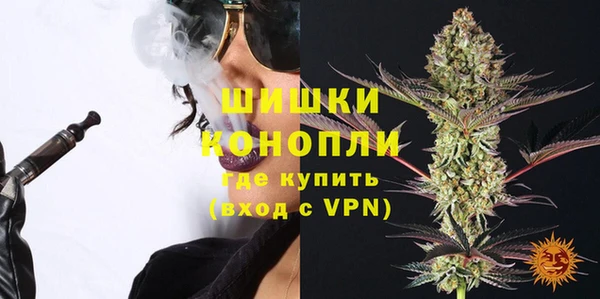 твердый Бородино