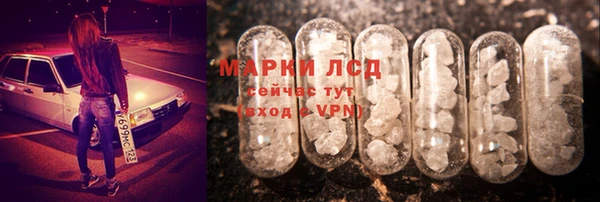 стафф Богородск