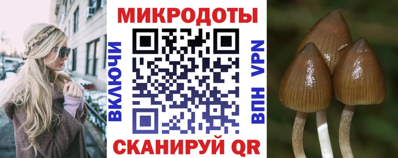 Псилоцибиновые грибы Psilocybine cubensis  Купить  Сальск 